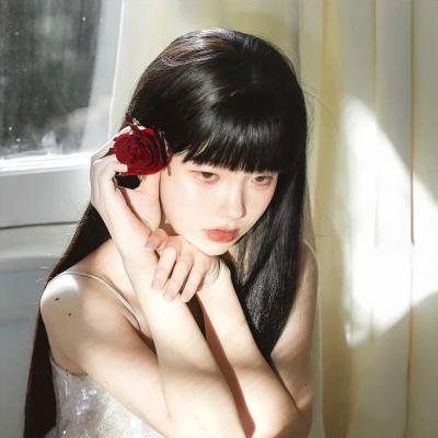 丁丁历险记：金毛号宝藏之迷国语